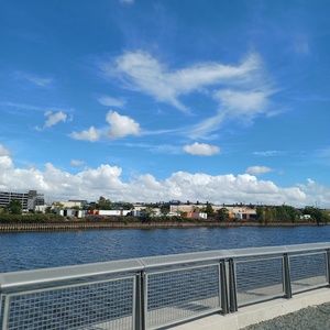 Meet your Posher, Rasheed